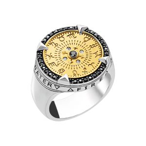 Thomas Sabo Ring Elements of Nature gold TR2329-849-7 in Ravensburg