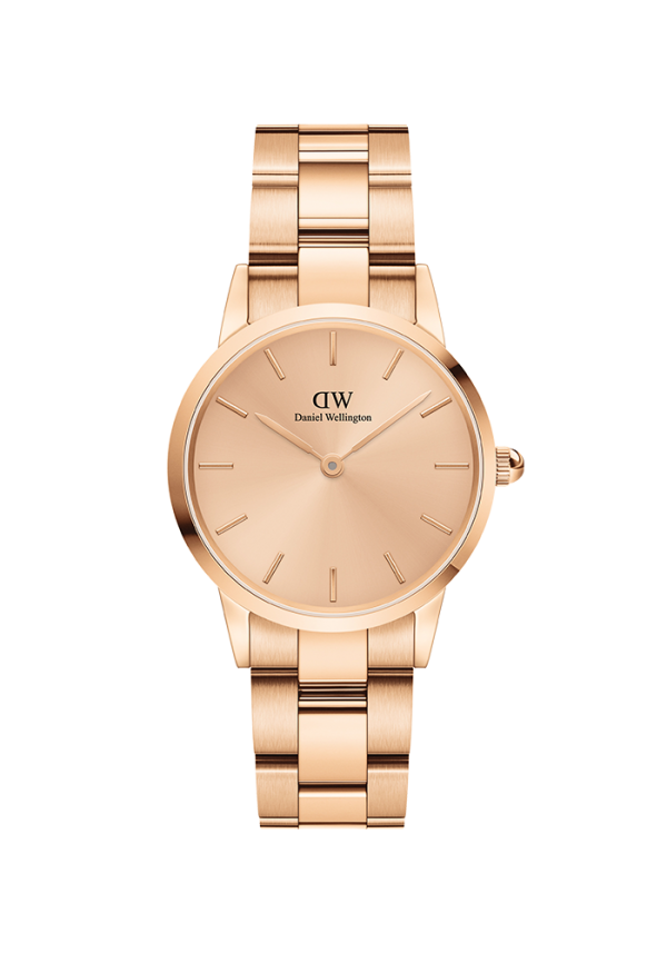 Daniel Wellington Iconic Link Iconic Link Unitone Roségold 28mm DW00100401 in Ravensburg