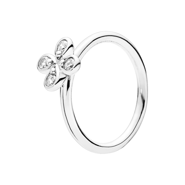 Pandora Ring mit klarem Cubic Zirkonia 197967CZ in Ravensburg