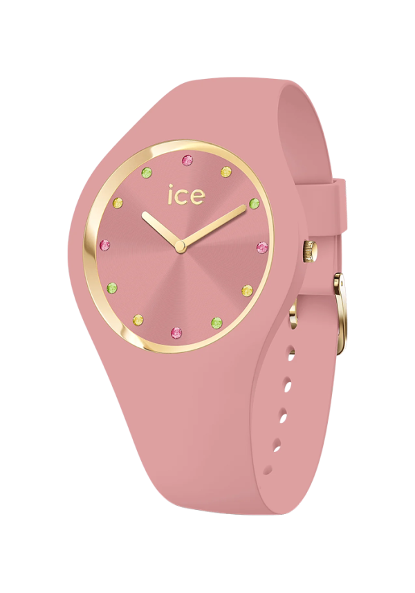 Ice Watch ICE Cosmos ICE Cosmos Quartz Pink 22359 in Ravensburg