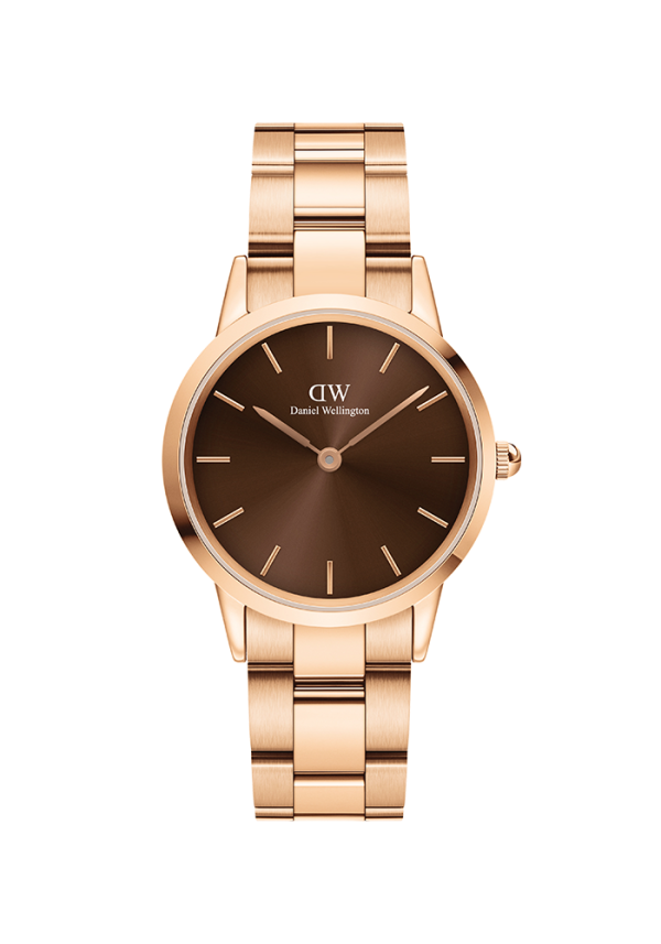 Daniel Wellington Iconic Link Iconic Link Amber Roségold 32mm DW00100462 in Ravensburg