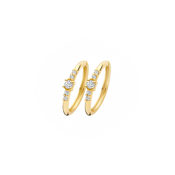 Blush Ohrringe 585er Gelbgold mit Zirkonia 7368YZI in Ravensburg