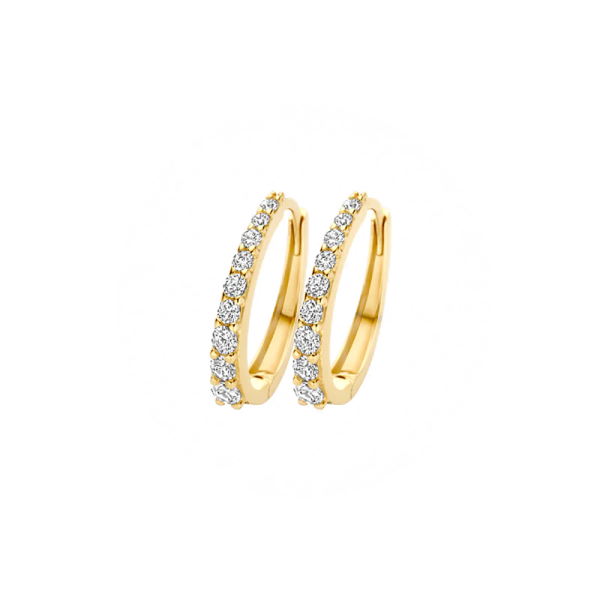 Blush Ohrringe 585er Gelbgold mit Zirkonia 7342YZI in Ravensburg