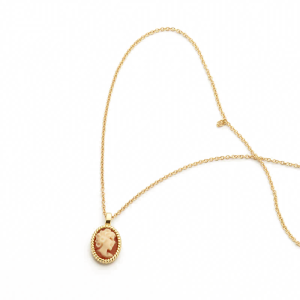 Blush Halskette 585er Gelbgold mit Kamee 3167YCA in Ravensburg
