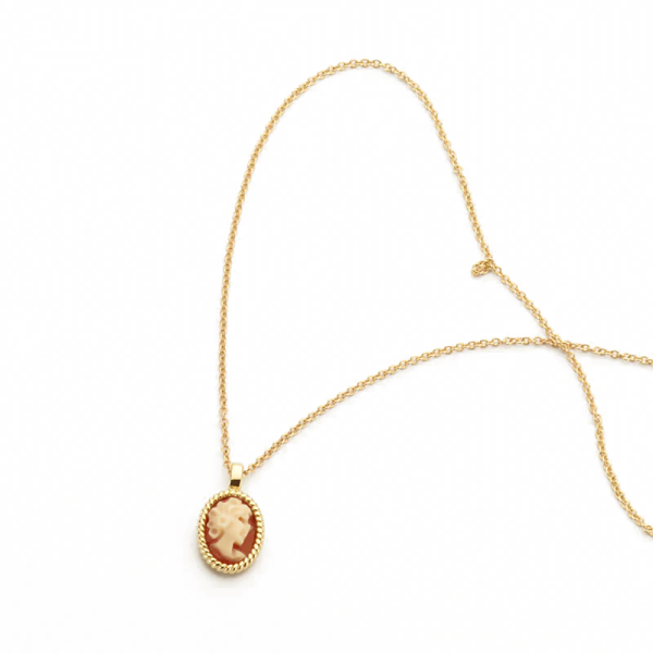 Blush Halskette 585er Gelbgold mit Kamee 3167YCA in Ravensburg
