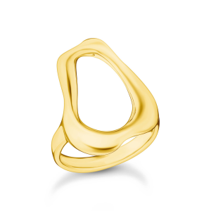 Thomas Sabo Ring Natural Beauty vergoldet TR2486-413-39 in Ravensburg