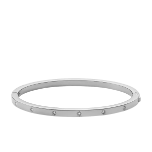 Fossil Armreif Sadie Shine Bright Edelstahl JF04420040 in Ravensburg