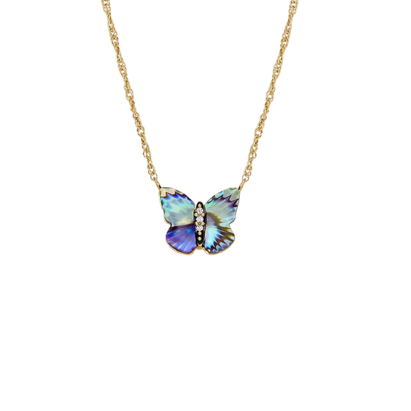 Fossil Kette Sutton Butterfly Wings Anhänger Abalone mehrfarbig JF04812710 in Ravensburg