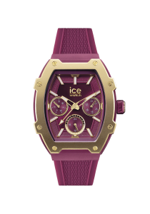 Ice Watch ICE Boliday ICE Boliday Gold Burgundy 22868 in Ravensburg