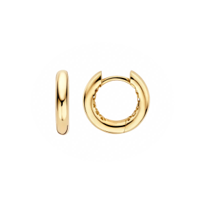 Blush Ohrringe 585er Gelbgold LG7021Y in Ravensburg